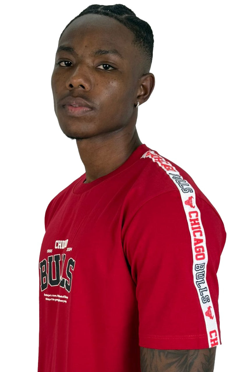 Camiseta Chicago Bulls