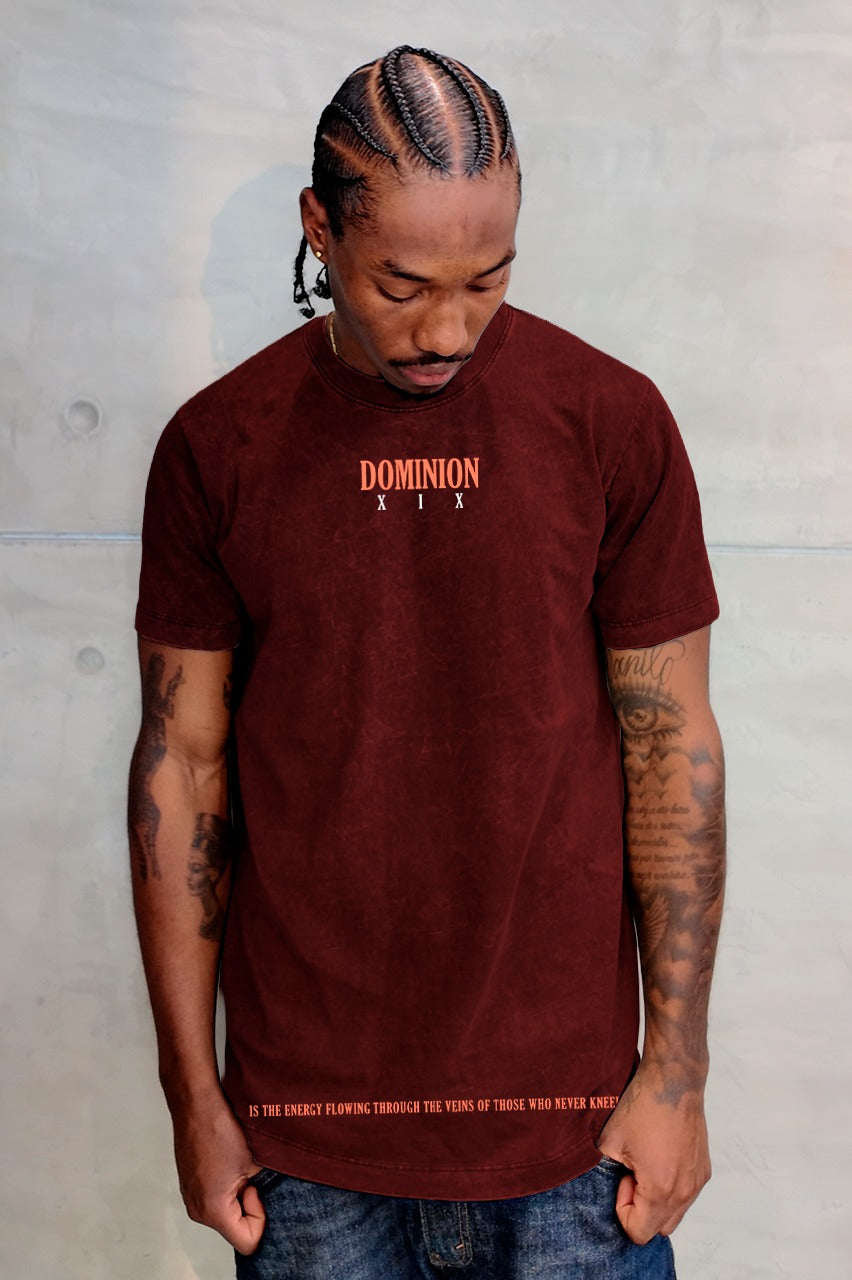 Camiseta Sky Vinotinto Dominion Alto Gramaje