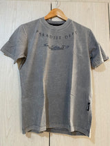 Camiseta Sky Gris Paradise Dept Alto Gramaje